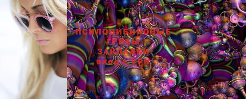 Галлюциногенные грибы MAGIC MUSHROOMS  Лермонтов 